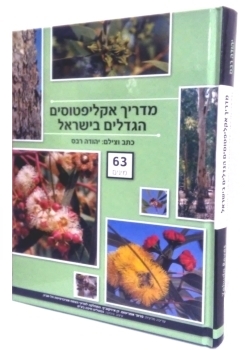 עצי נוי בישראל | ניסים פינס