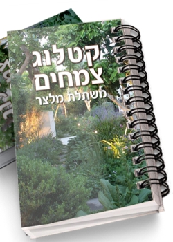 עצי נוי בישראל | ניסים פינס