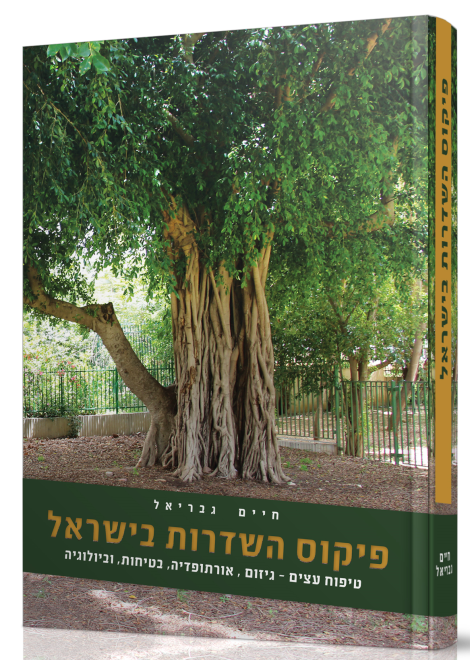 עצי נוי בישראל | ניסים פינס