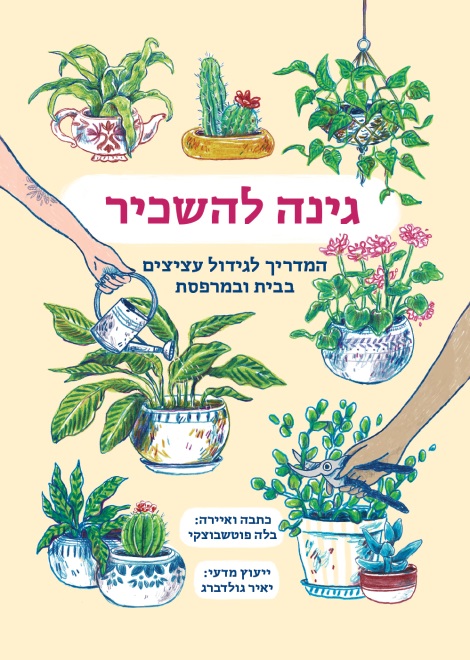 עצי נוי בישראל | ניסים פינס