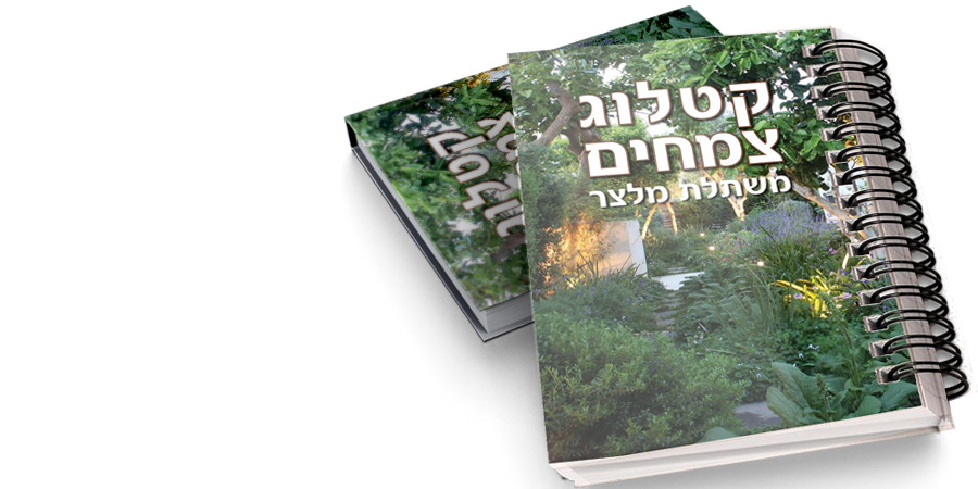 קטלוג הצמחים