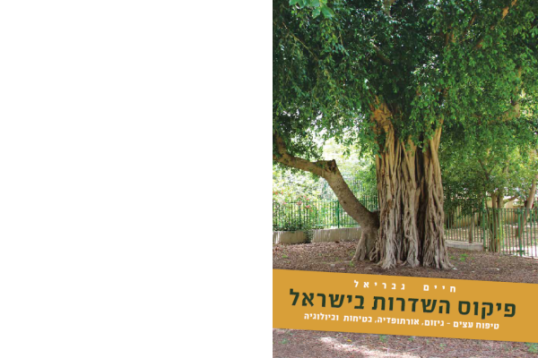 ספר פיקוס השדרות בישראל