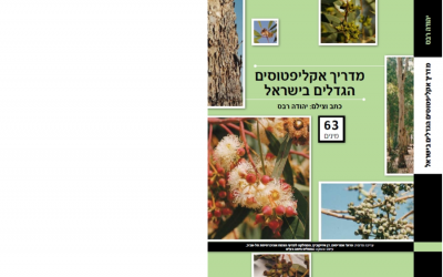 ספר מדריך האקליפטוסים בישראל