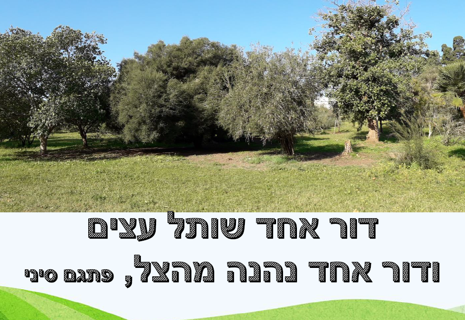 הרצאות ישראל גלון ~ עצים